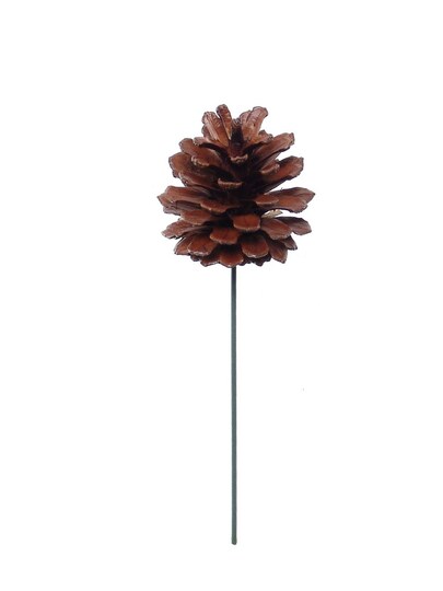 Floral Home; 2.5" Lacquered Pine Cone - 12 Pieces, Elegant Decorative Accents for Holiday Decor, Wreaths & Seasonal Displays - 2024 Christmas Collection, Floral Home by Artificial Flowers; Category:Picks; Image:1